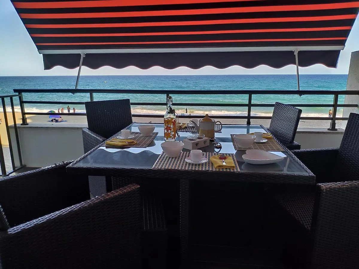 דירה Miami Playa Miami Apartamento Margarita